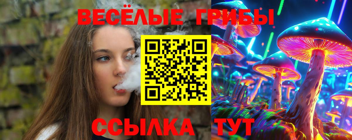 Псилоцибиновые грибы GOLDEN TEACHER Саранск